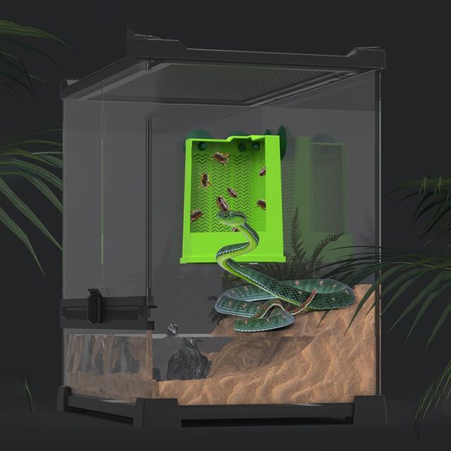 파충류 탈출 방지 먹이상자 도마뱀사육장 키우기 대형