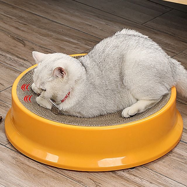 반려묘 스크래쳐 고양이 집 발톱관리 소근육발달