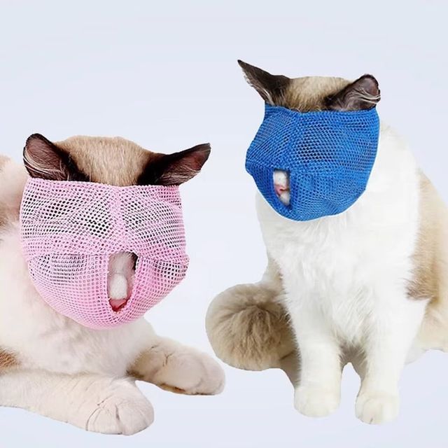 고양이 매쉬 입마개 물림 핥기 방지 머리마개 통기성 입덮개