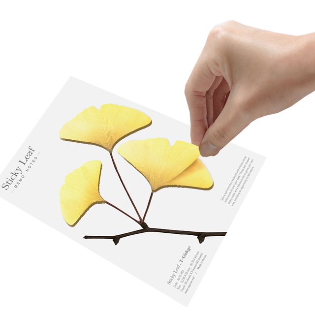 은행잎 대형 투명 스티커리프 모음 점착메모지 다꾸