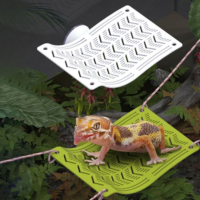 크레스티드게코 침대 거북이쉼터 파총류 사육장 소형