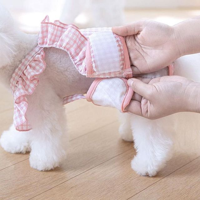 강아지 생리팬티 암컷 기저귀 위생속옷 애견용품