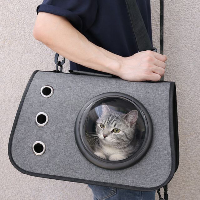 고양이 캐리어 산책 이동장 켄넬 반려동물 강아지 이동가방