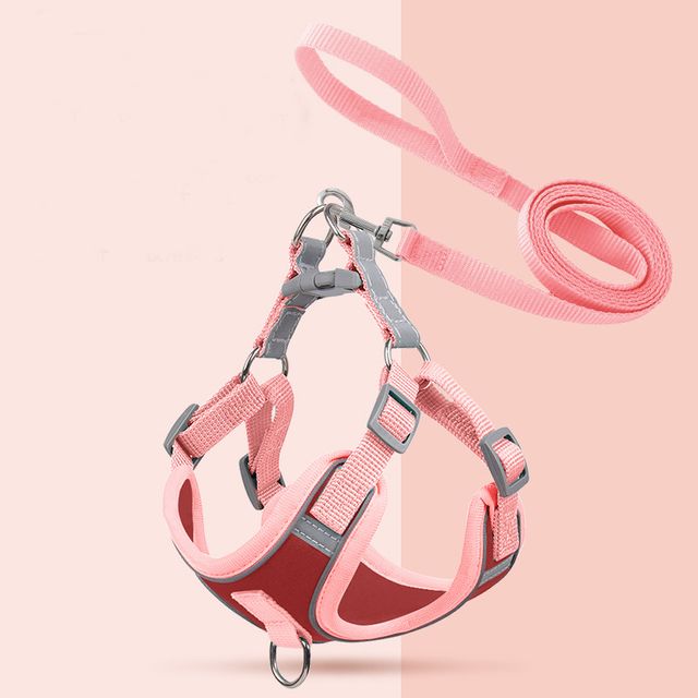 투톤 강아지 하네스 가슴줄 목줄 세트 BI-A100320
