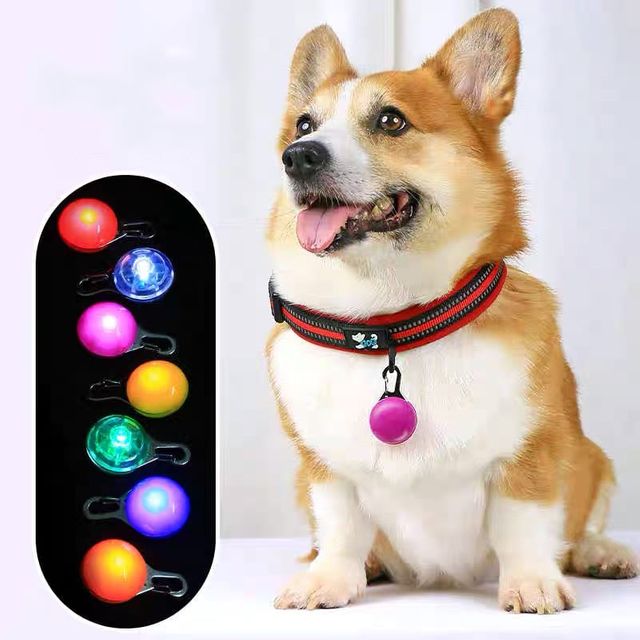 반려견 LED 라이트 펜던트 3p 산책 분실방지 클립형