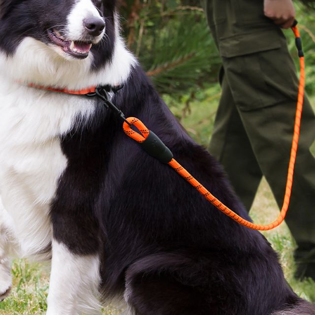 반려동물 야간 반사 튼튼한 로프타입 리드줄 H-00067