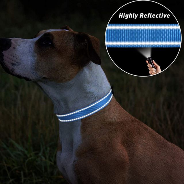 반려동물 반사띠 길이조절 목줄 H-00069