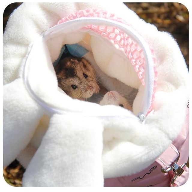 포근한 소동물 외출 슬링백 반려동물 가방 산책용