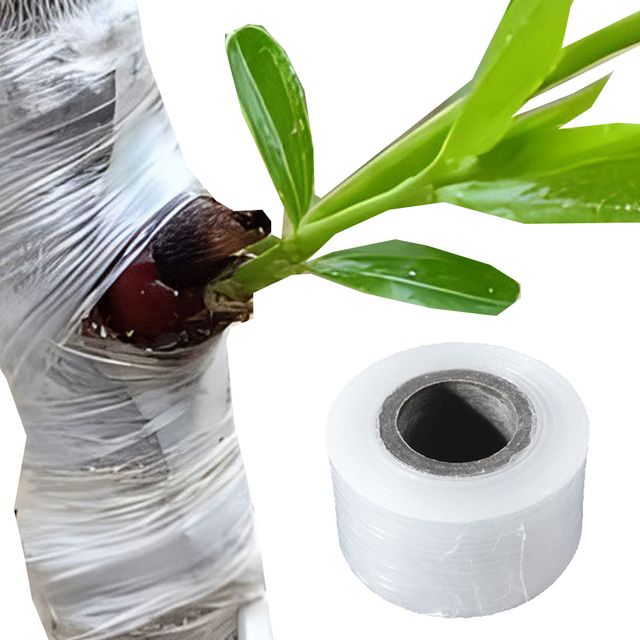 투명 접목 테이프 폭 3cm 길이200m 스크래치 필름