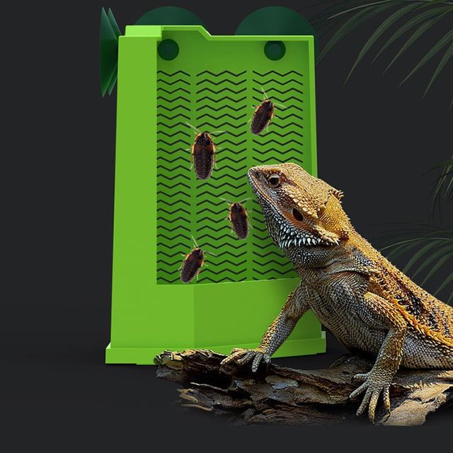 파충류 탈출 방지 먹이상자 도마뱀사육장 키우기 소형