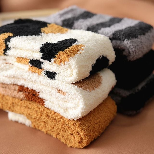 러블리캣 뽀글이 수면양말 5종세트 HL-00021