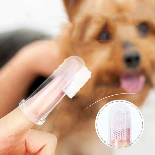 키밍 강아지 실리콘 칫솔 귀여운 치아 관리 용품