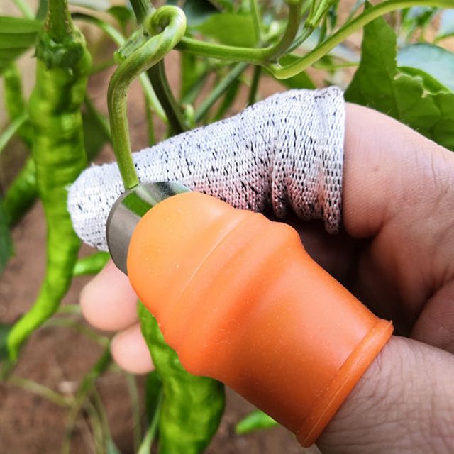 베임방지 골무 고추 채소 야채 수확 따기 엄지