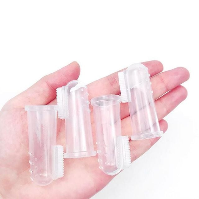 반려동물 칫솔 강아지용품 구강 관리