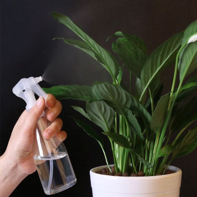 소형 투명 분무기 200 다용도 소독 분무기
