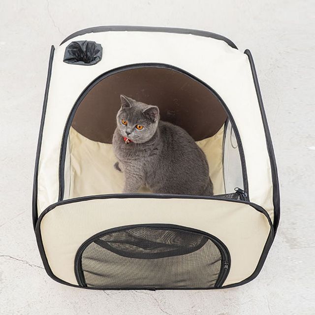 애견 목욕 건조 박스 접이식 강아지 고양이 샤워기