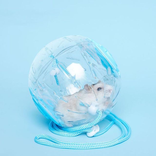 키밍 햄스터 헬스볼 이동편한 장난감 소품