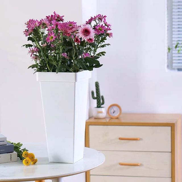 플라스틱 꽂집 꽃통 사각형 생화보관통 바구니 대형