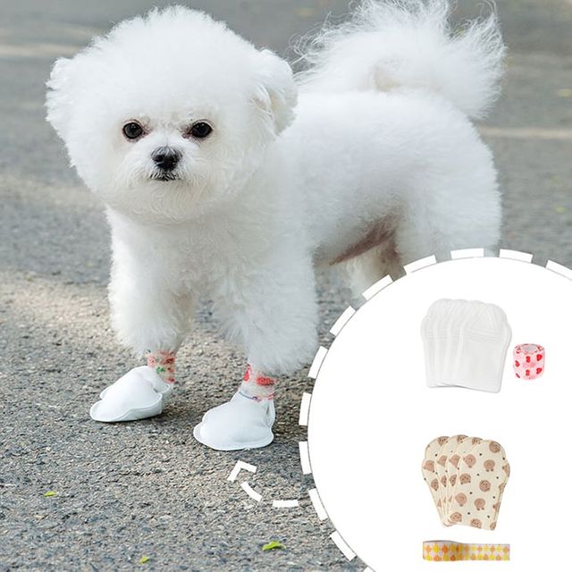 강아지신발 일회용 20매 외출 애견양말 산책용품