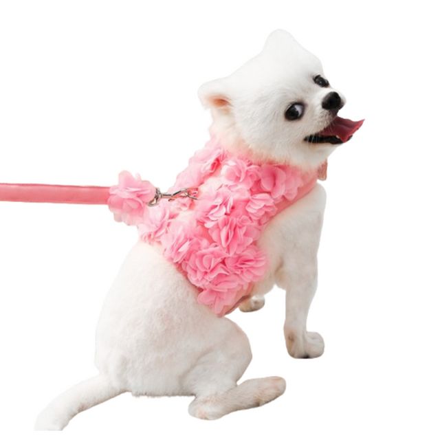 러블리 귀여운 강아지 샤베트 하네스 GOT-1005857