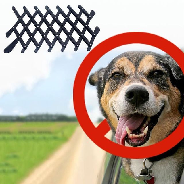 차량용 반려동물 안전 울타리 대형 강아지 고양이 추락 방지 안전가드