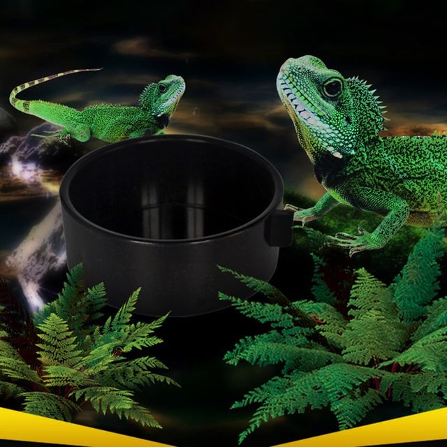 크레스티드게코 물그릇 도마뱀 파충류 급수기 식기