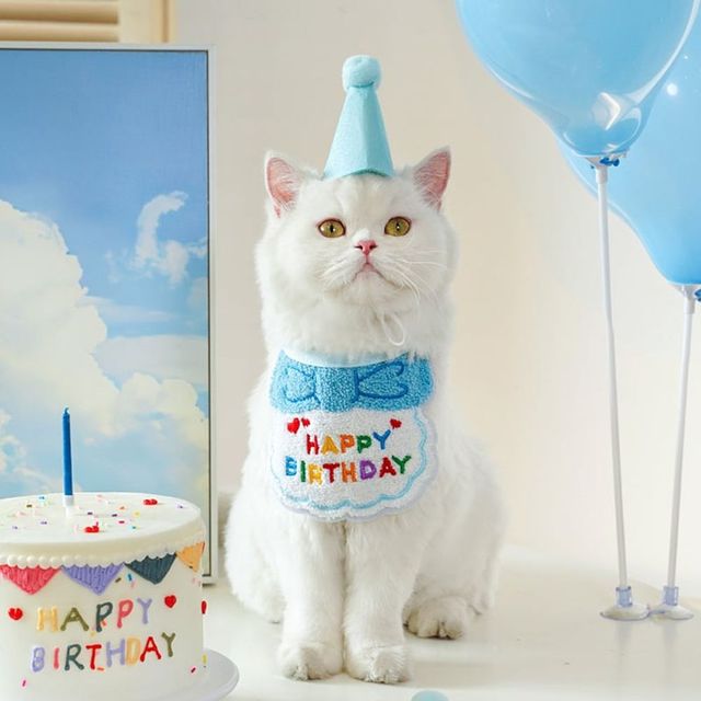 고양이 생일 축하 스카프 반려동물 패션 아이템