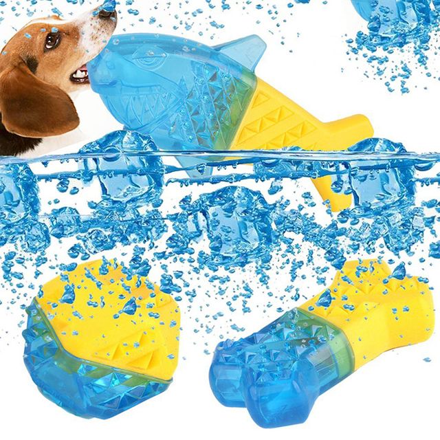 강아지 아이스 장난감 3종세트 물놀이 여름 물주입