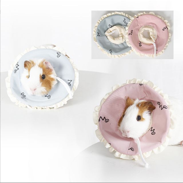 키밍 고슴도치 토끼 넥카라 보호권 핥기방지 햄스터