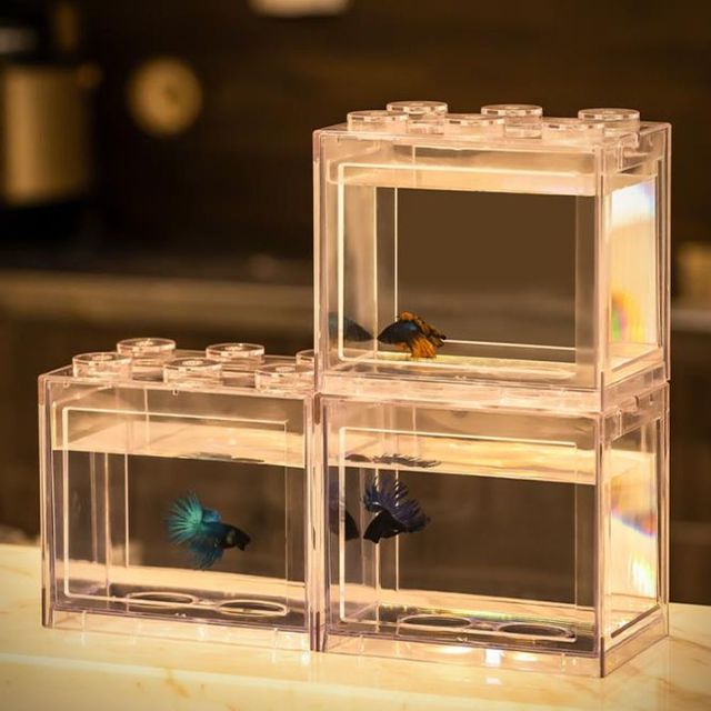 수경식물 미니어항 사각형 칸막이 블럭 세트