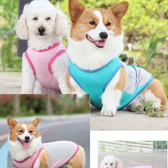 강아지 반사 쿨티 쿨조끼 여름 쿨링 베스트 8XL