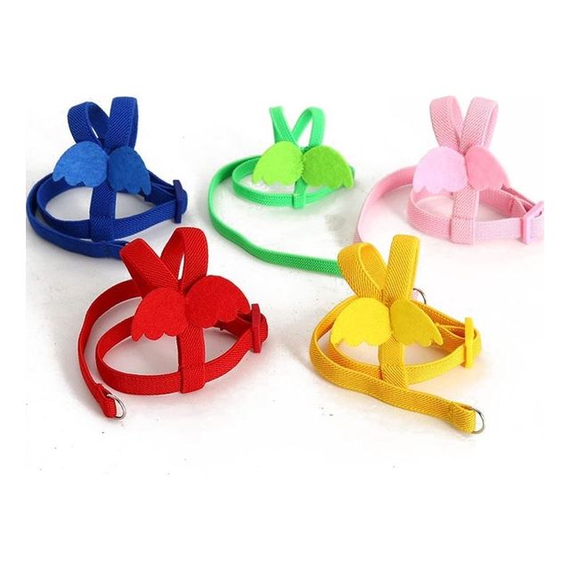 앵무새 외출 발목링 하네스 리드줄 가슴줄 산책