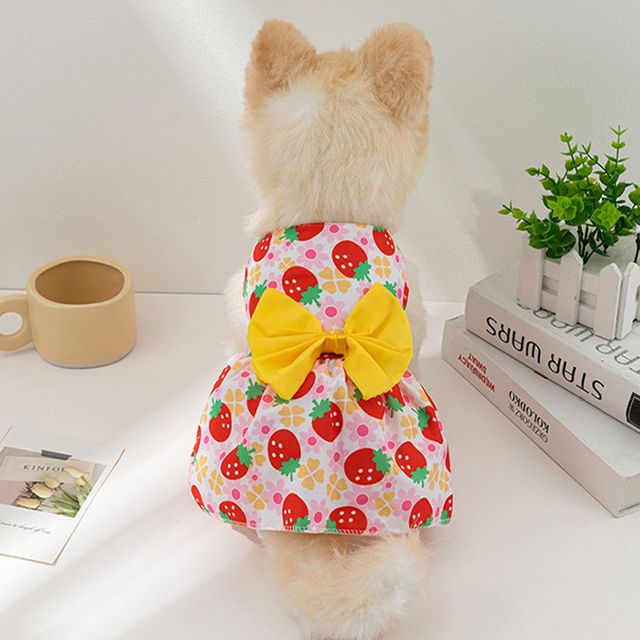 반려동물 빅 리본 포인트 패턴 원피스 H-00072