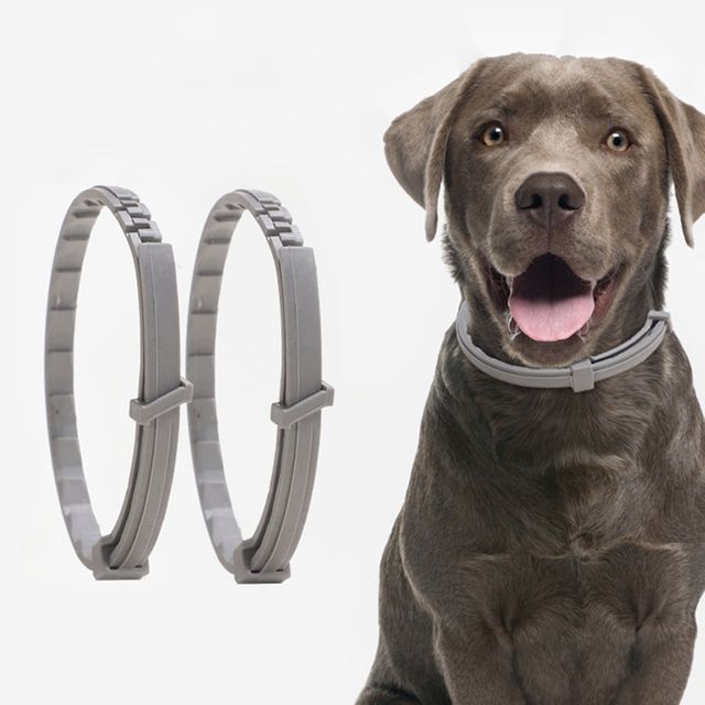 강아지 고양이 모기 벌레 제거 목걸이