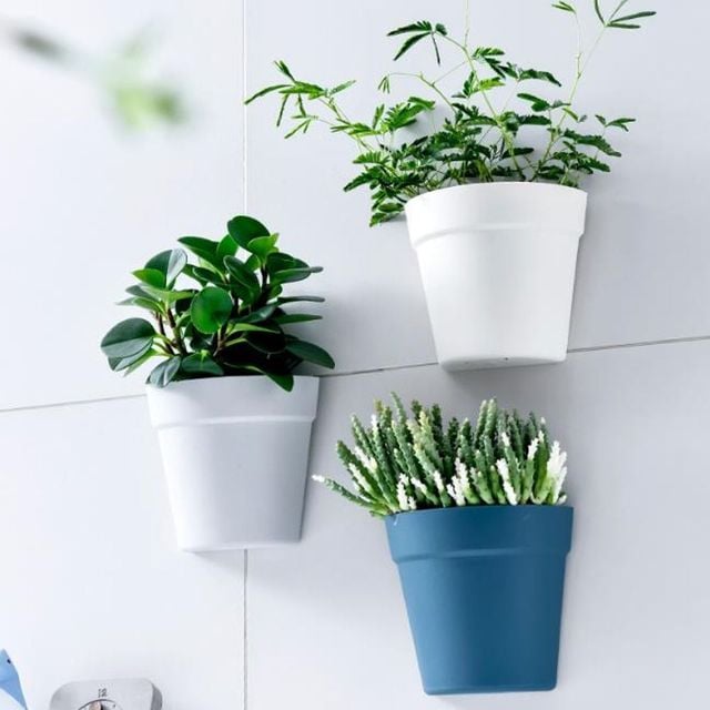 키밍 심플 실내 벽걸이 화분 세트 저수분 플라스틱 3개입