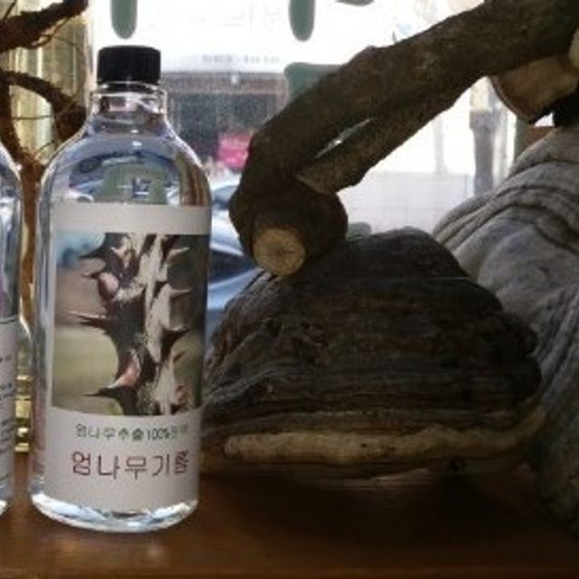 100% 원액 엄나무진액 기름 1020ml (1병)