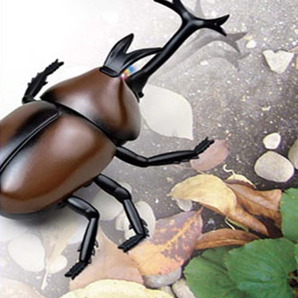유아 곤충학습 장수풍뎅이 모형 장난감 임의 배송