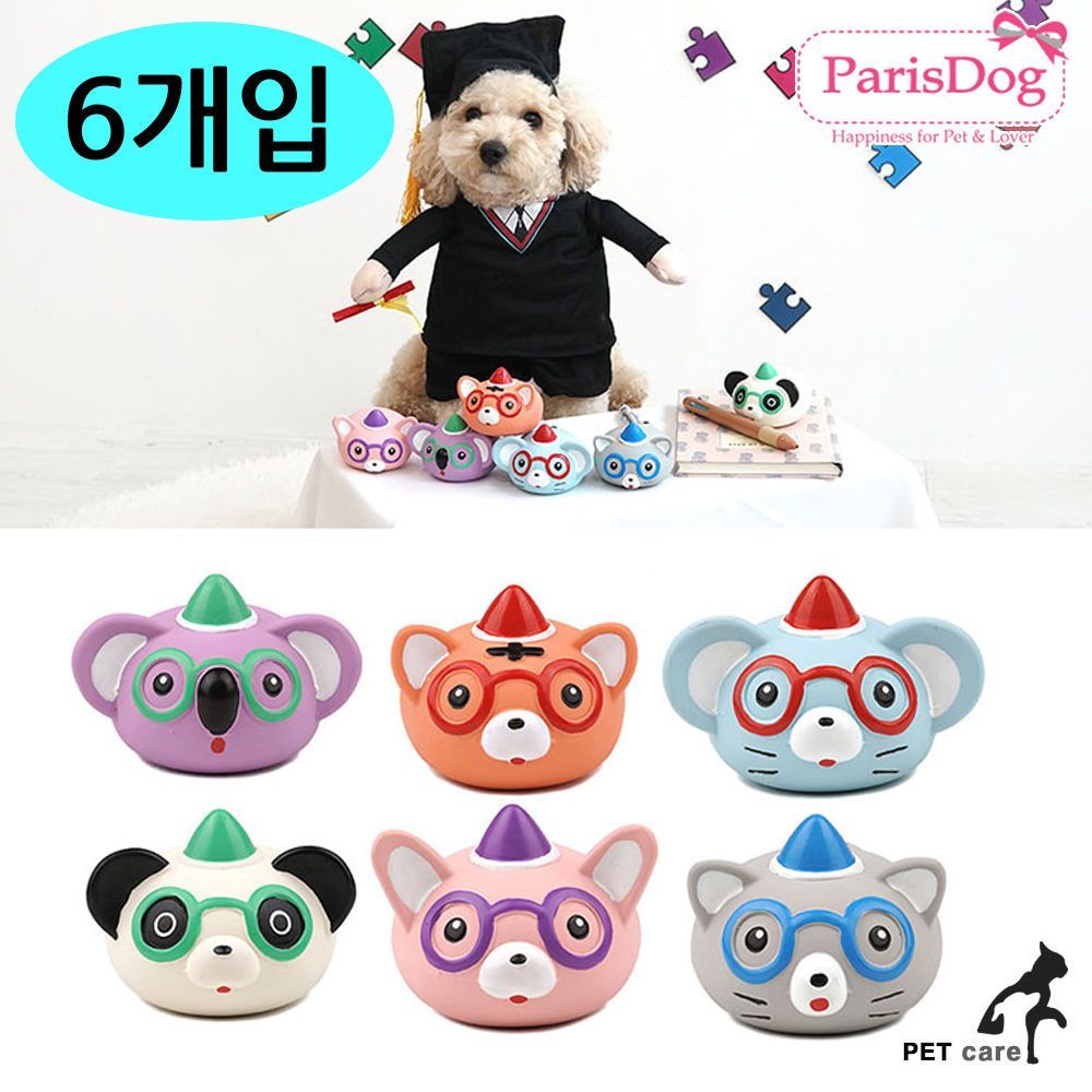 패리스독 척척박사 라텍스토이 6개세트