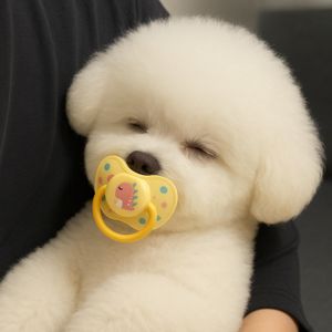 강아지