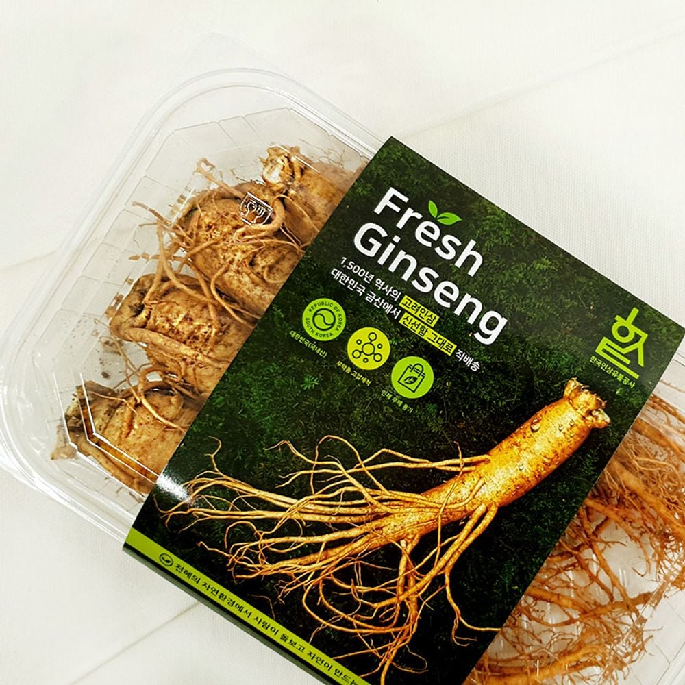 (1121)(B) 고려인삼 1호