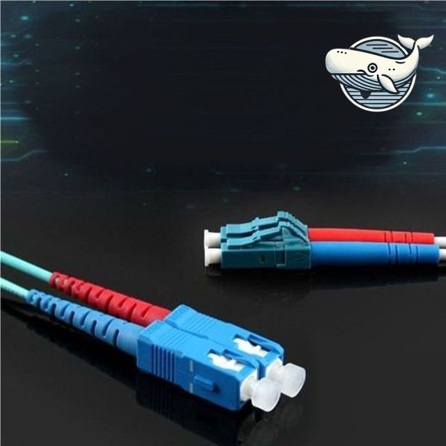 광패치케이블 네트워크 데이터 전송선