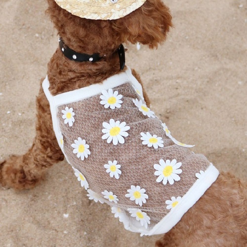 강아지 꽃향기 뷔스티에 옐로우 나들이 1p 2xl Sale 73 Off 애견