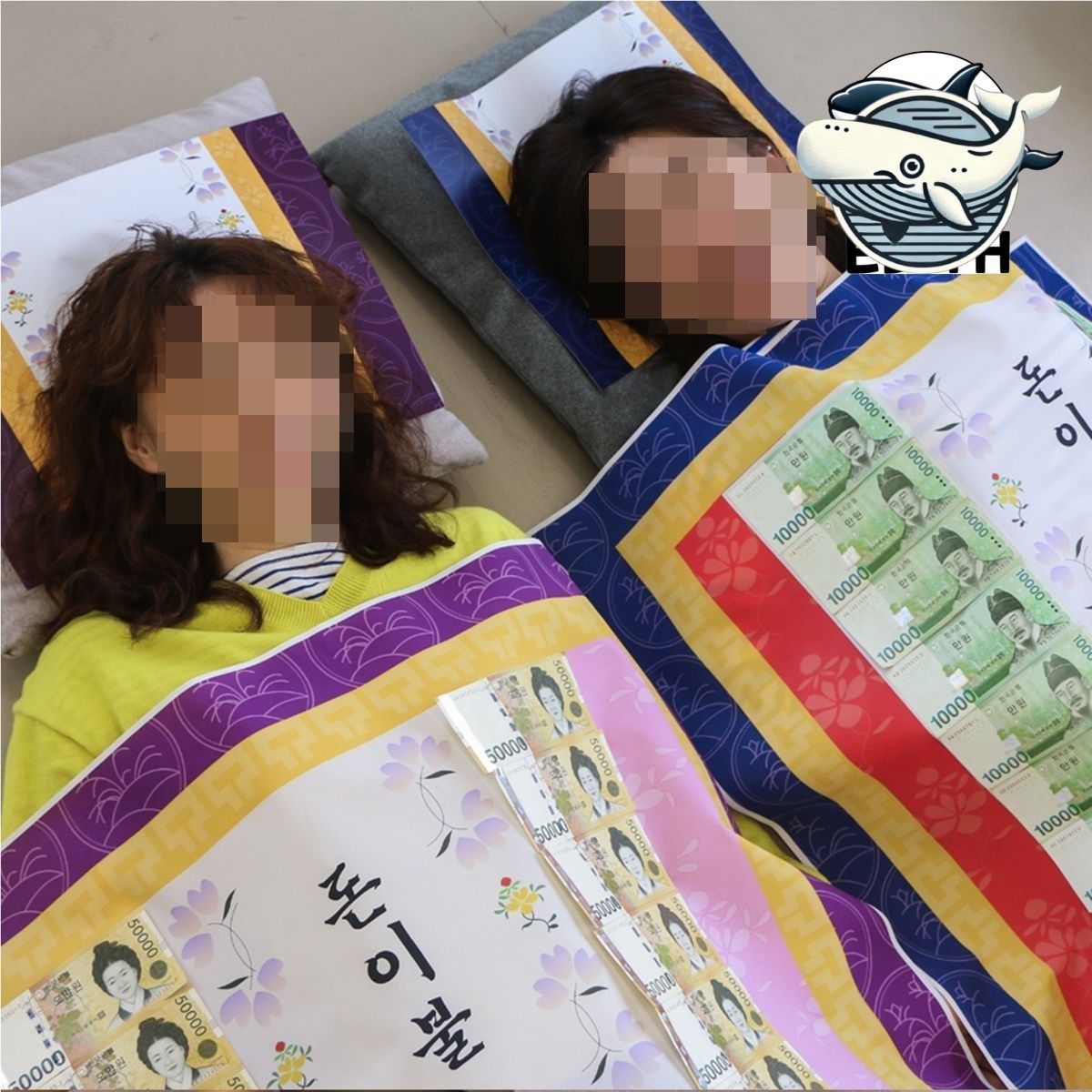 신박한 돈이불 용돈박스 반전 선물 특별한 축하