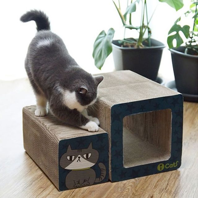 고양이 반려묘 양면 터널 스크래쳐 쉼터 터널