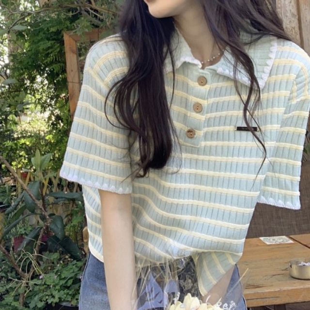 벨롱 카라 단가라 기본 반팔 데이