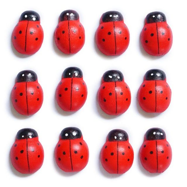 우드 무당벌레(빨강)대  1.8x2.4cm 1000개x1봉