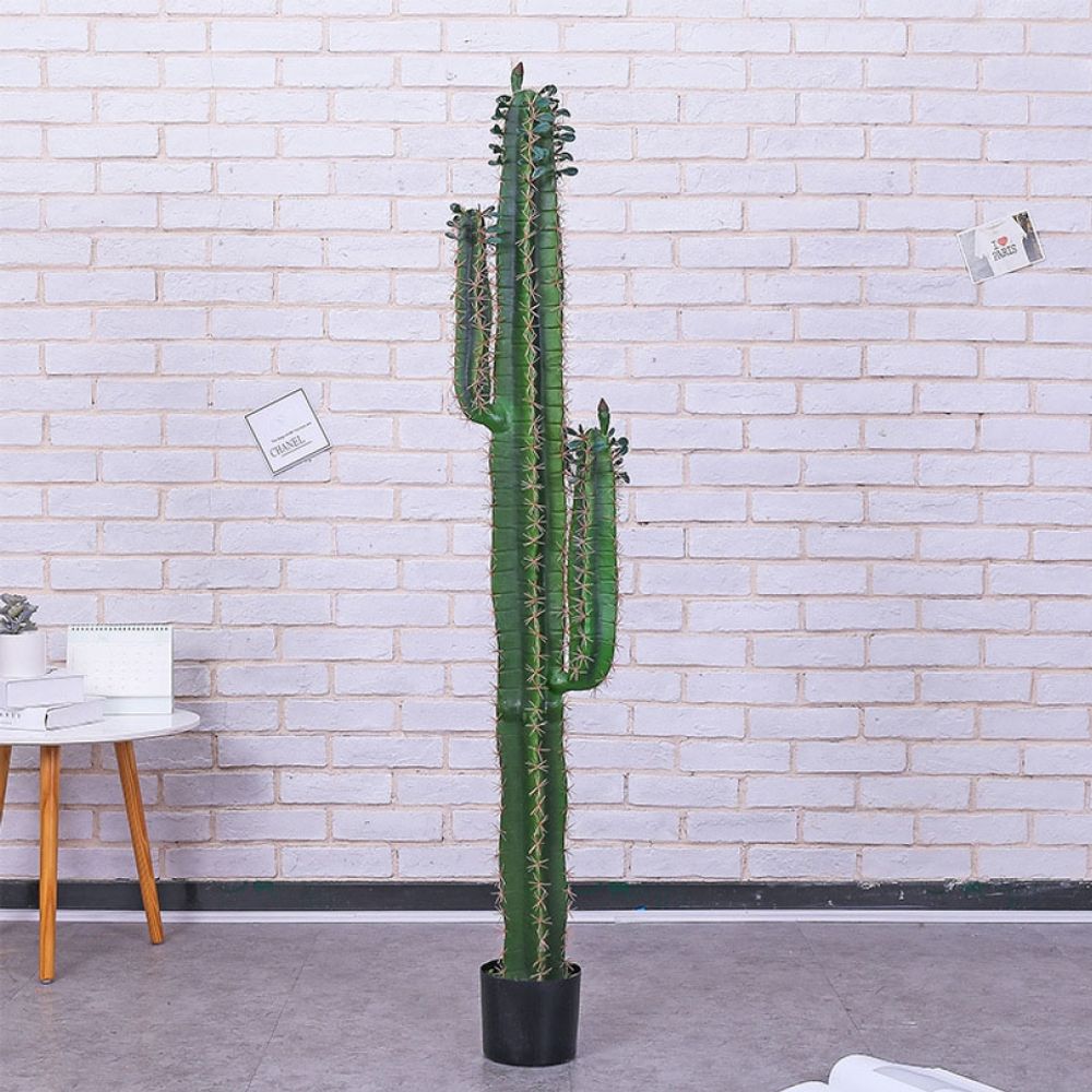 B 조화 150cm 선인장