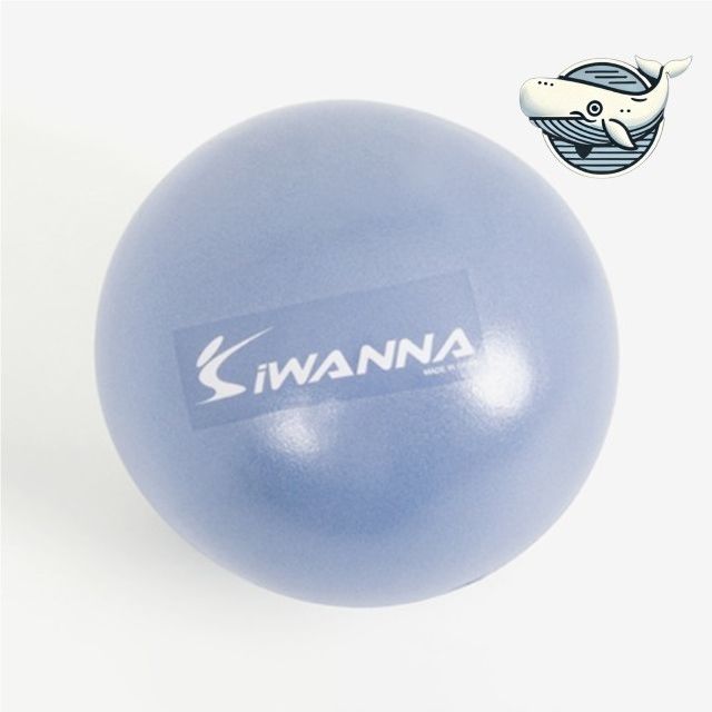 초급자용 소프트 미니짐볼 25cm 홈트