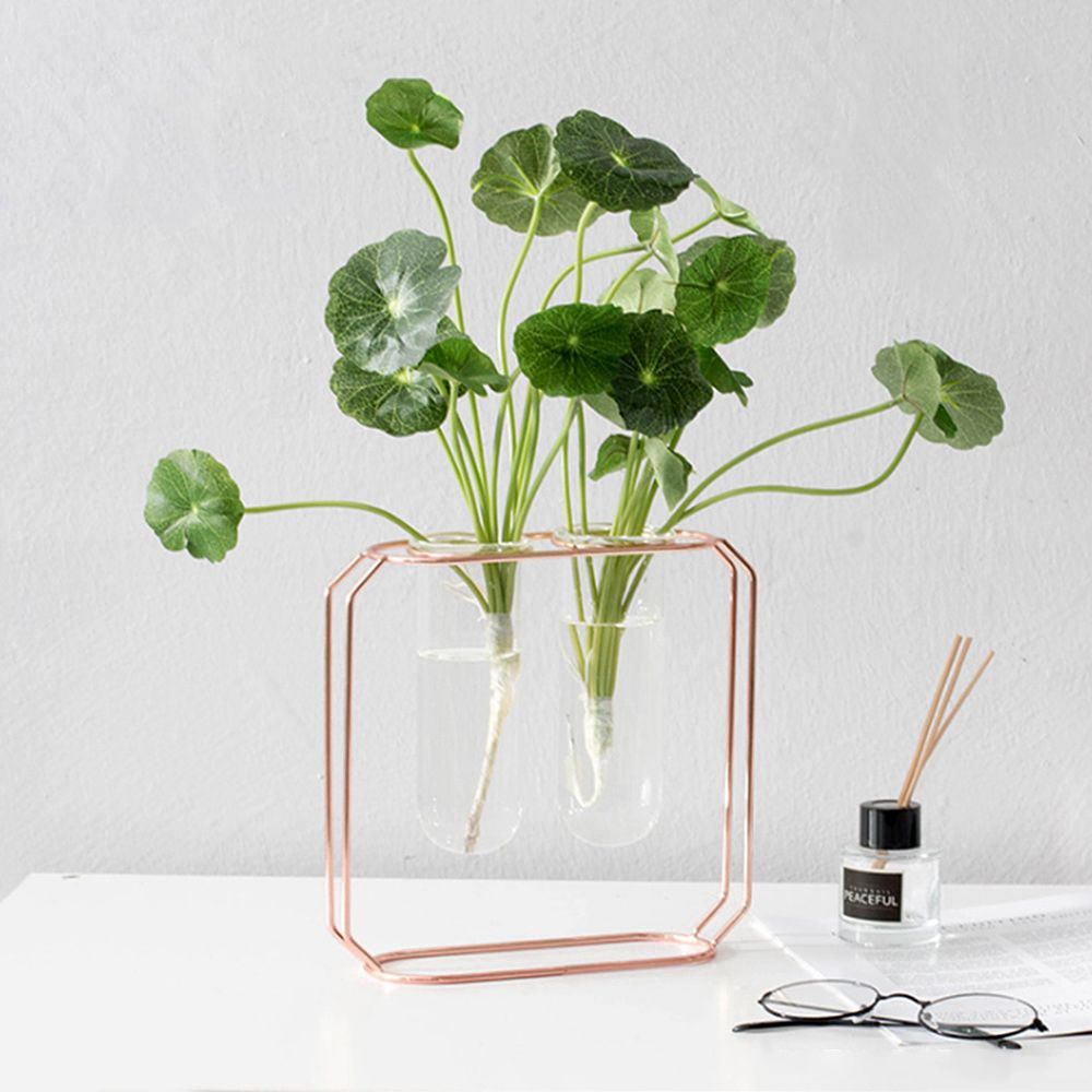 플랜테리어 시험관 꽃병 21x20cm 인테리어 유리화병