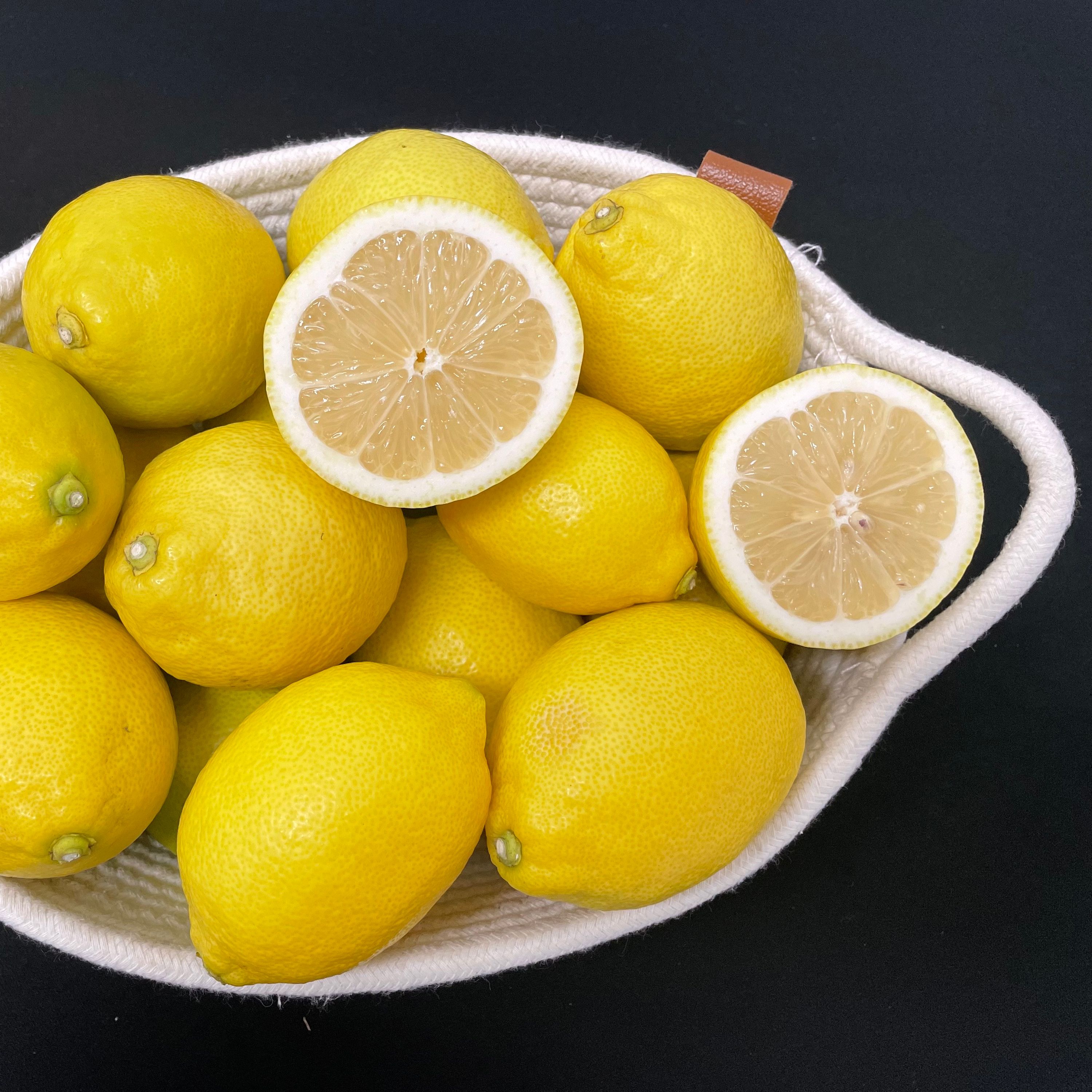 제주 레몬 (제라몬) 5kg/110~250g/25~40과내외